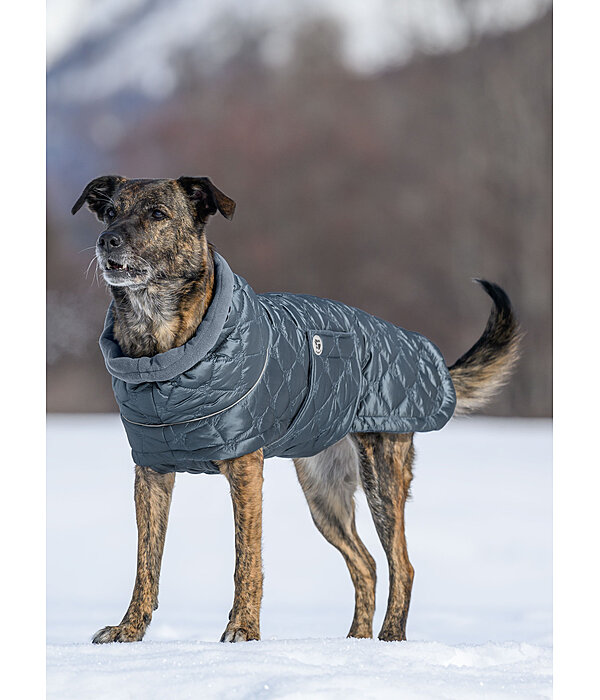 Cappotto trapuntato per cani Lightweight Cliff con pile, 200 g