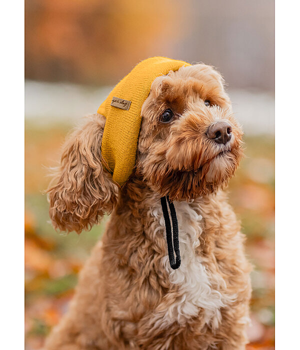 Beanie per cani Evin