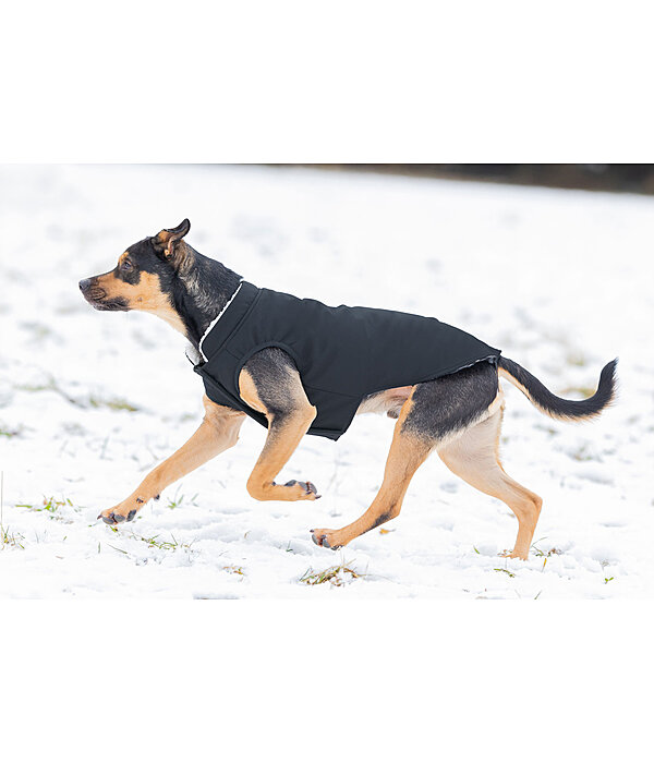 Cappotto reversibile in softshell per cani Yoko, 80 g