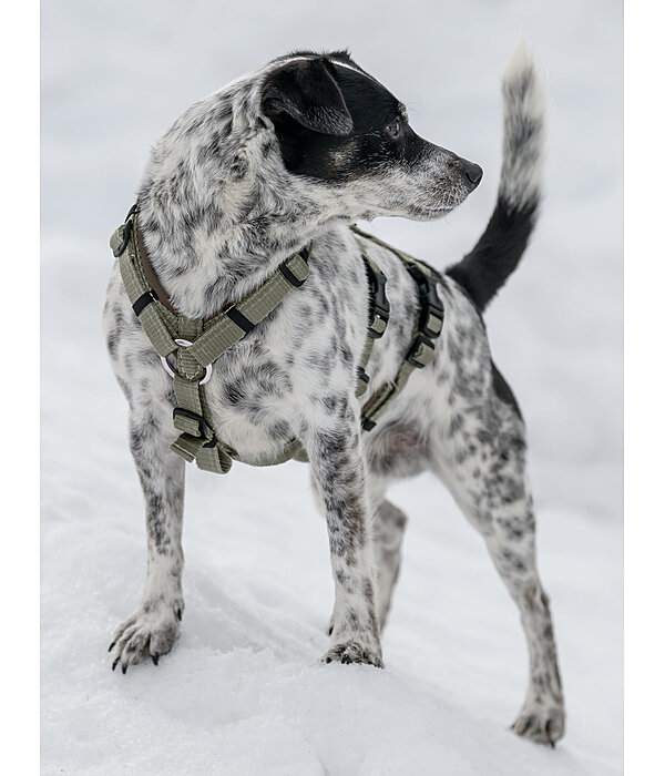 Pettorina antipanico per cani Irmi