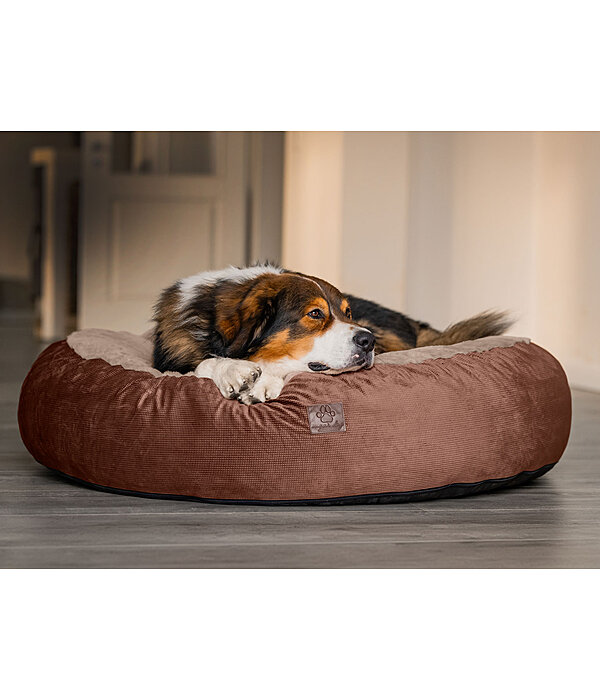 Cuccia per cani in memory foam Quincy