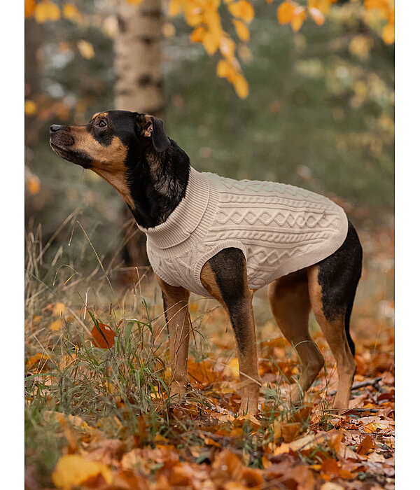 Maglione per cani Maisie