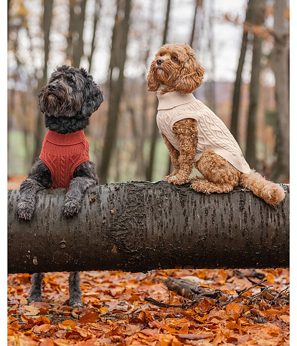 Maglione per cani Maisie