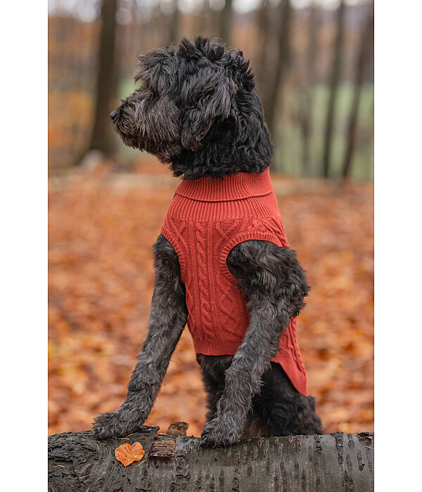 Maglione per cani Maisie