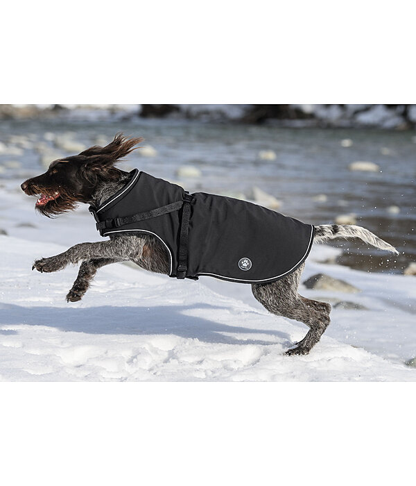 Cappotto in softshell per cani Cruz con pettorina integrata, 160 g