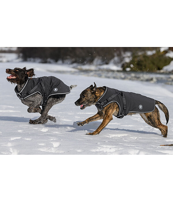 Cappotto in softshell per cani Cruz con pettorina integrata, 160 g