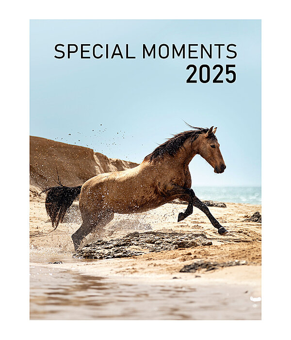 Calendario 2025 Special Moments